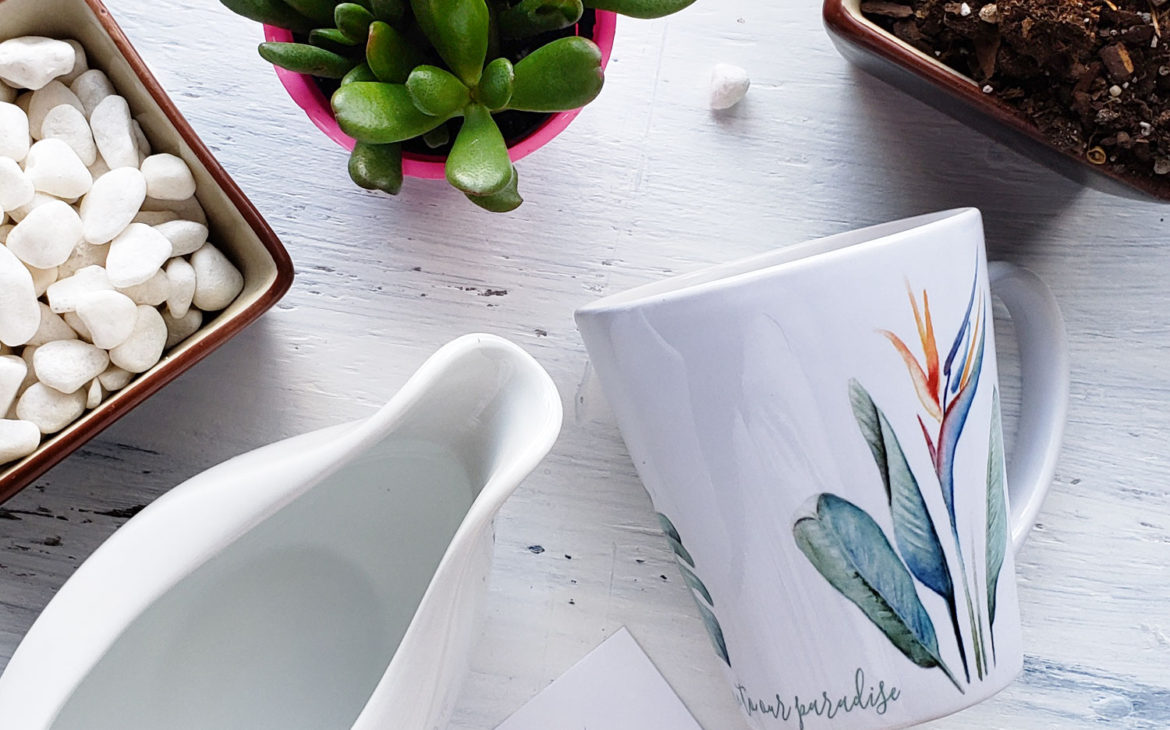 DIY potted succulents and cacti in coffee mugs.