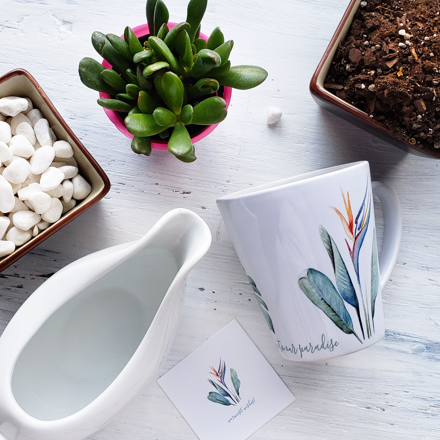 DIY potted succulents and cacti in coffee mugs.