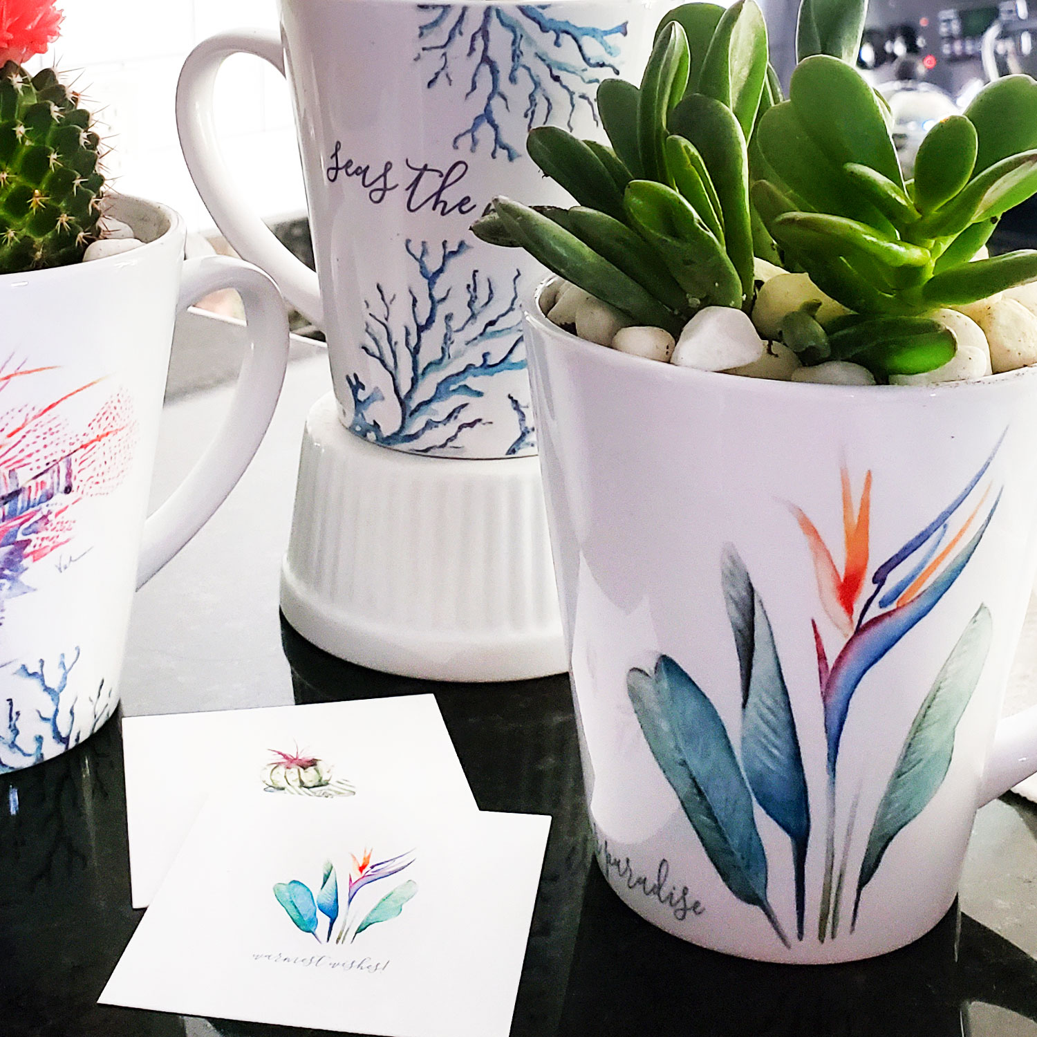 DIY potted succulents and cacti in coffee mugs.