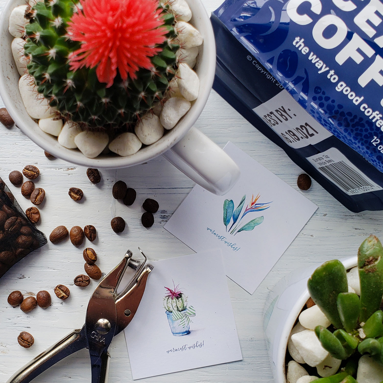 DIY coffee gifts uses gift tags designed with a replica of my original watercolor art, coffee beans in a bag, and a succulent or cacti planted in a coffee mug. 