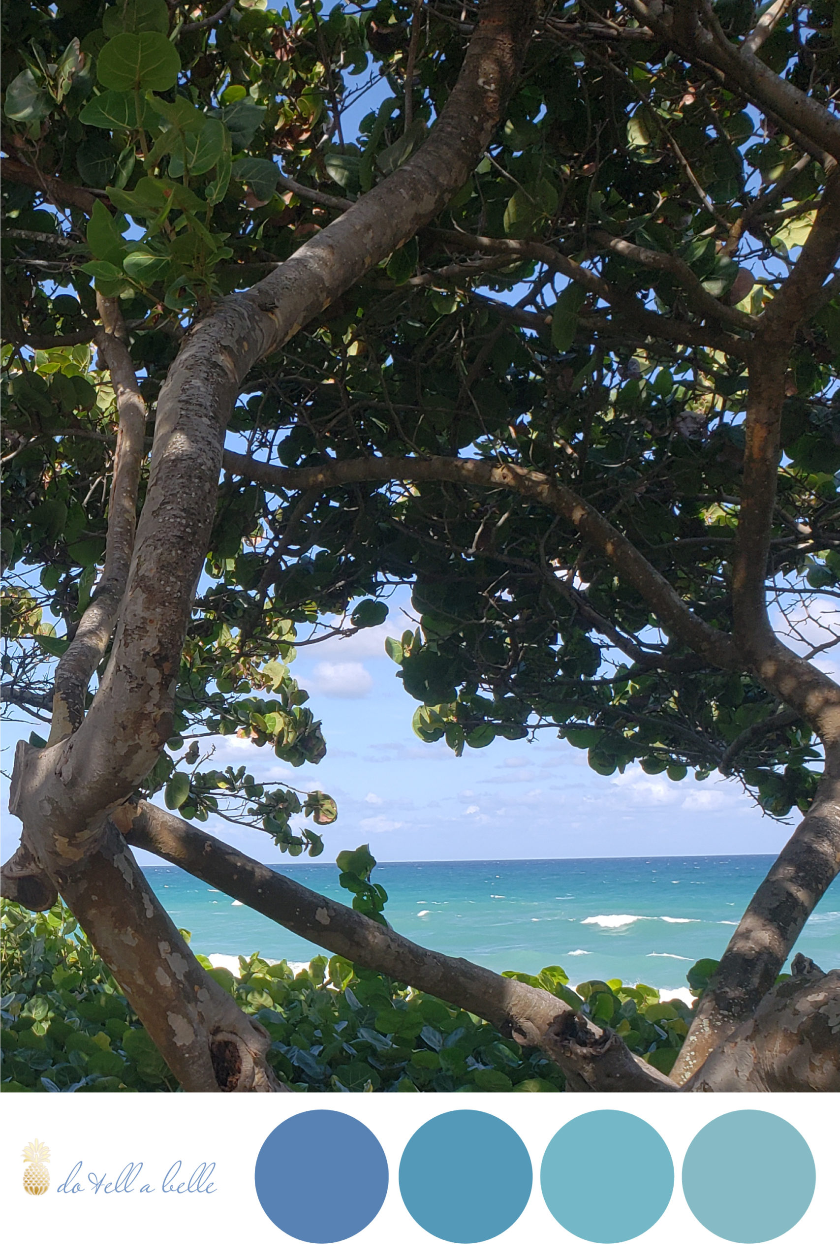 Jupiter Beach Ocean photography by Victoria Grigaliunas is the inspiration behind this color palette featuring shades of ocean blues