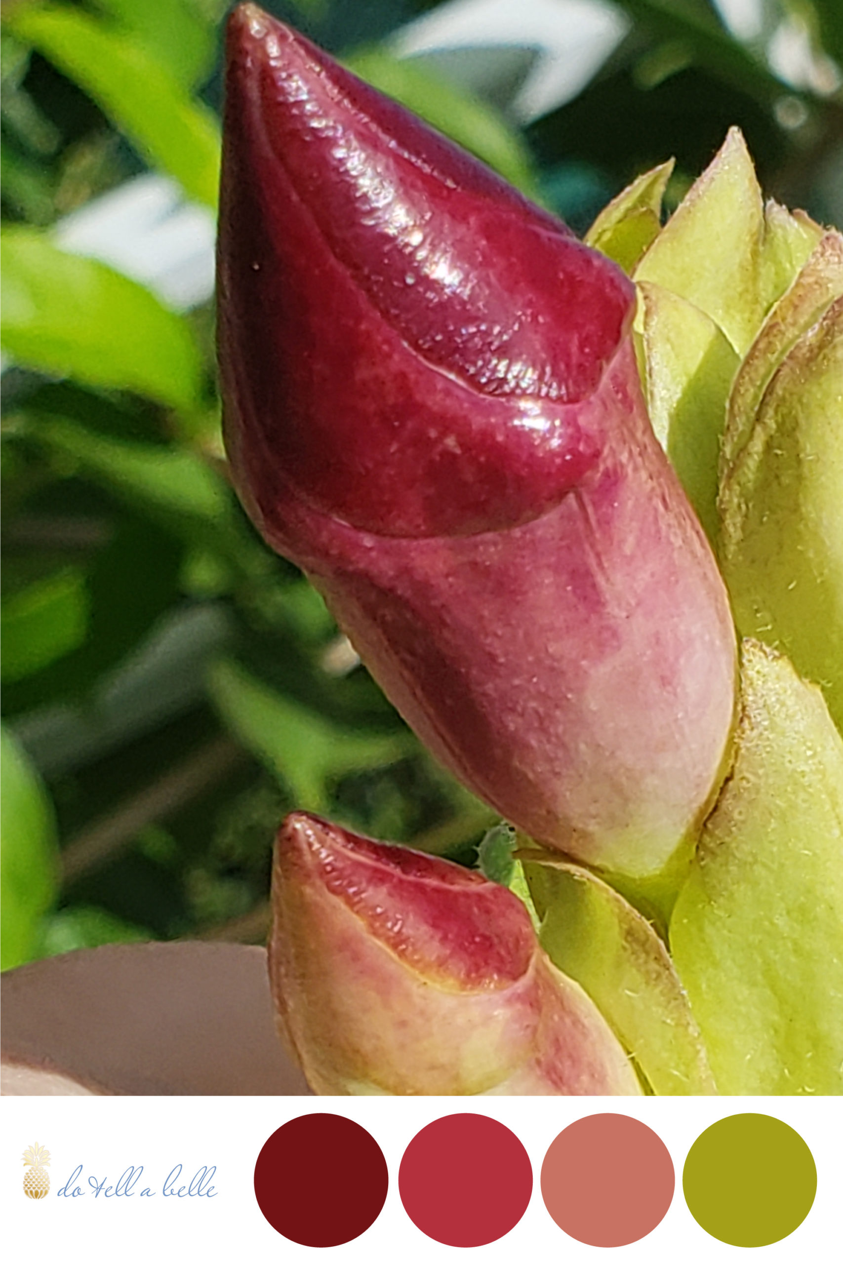 Palm Beach Gardens Floral photography by Victoria Grigaliunas is the inspiration behind this color palette featuring shades of burnt reds, terracotta and green. 