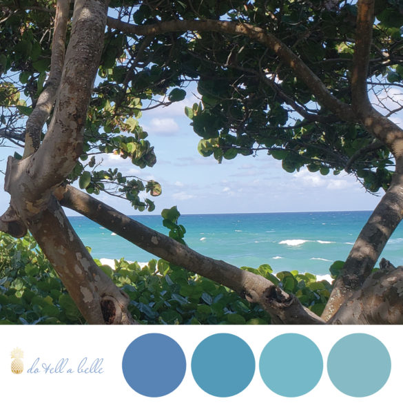 jupiter beach ocean blue color palette